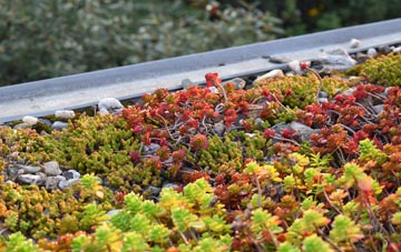 the cost of Balladen green roof installation