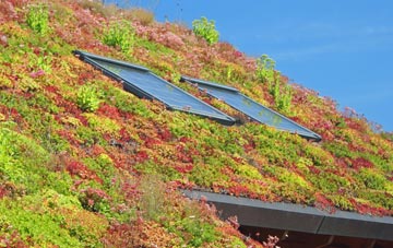 Balladen living roof systems