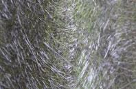 Balladen fibreglass roof work